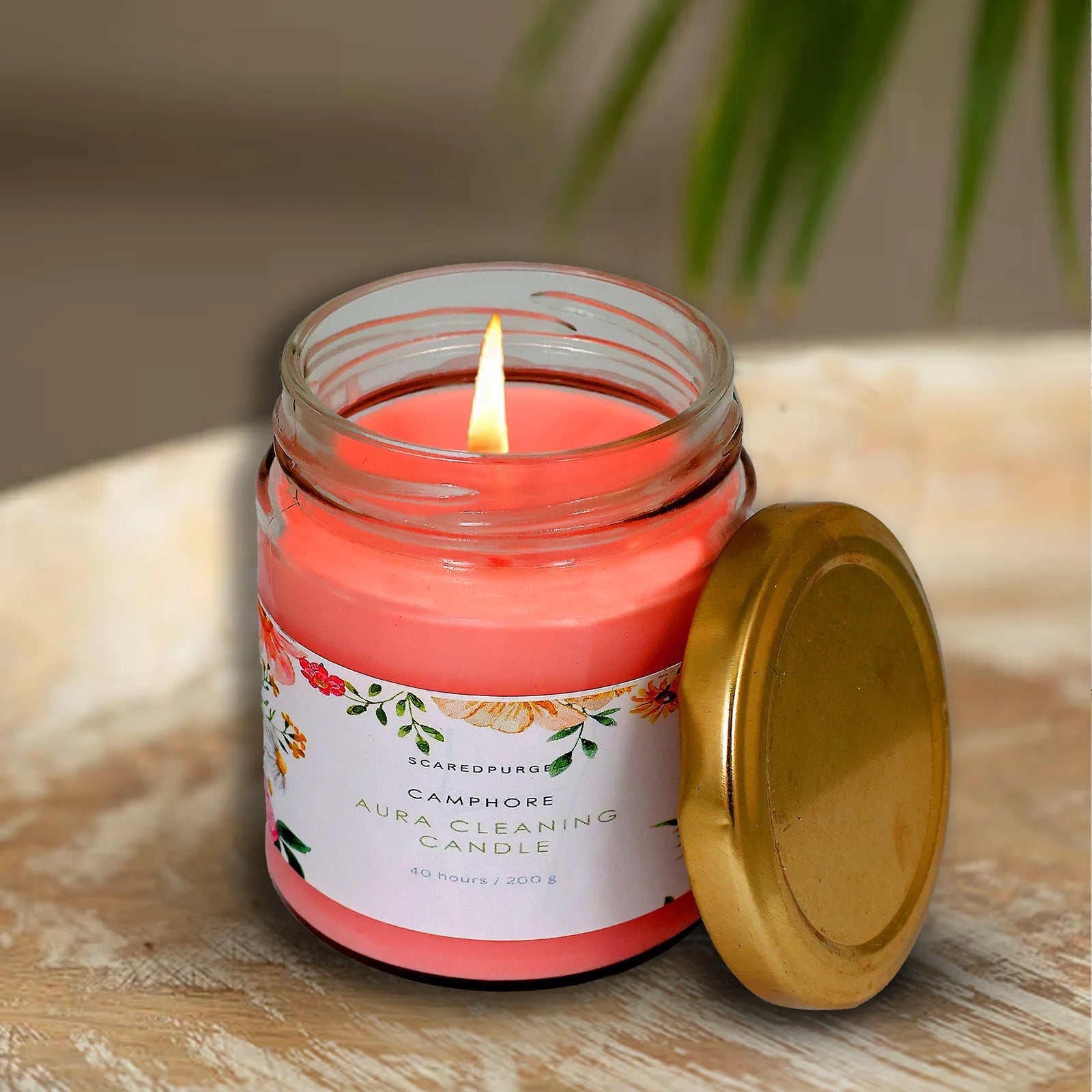 Sacred Purge (Camphor)